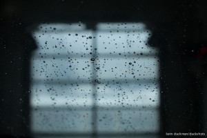 CAR_WASH-3