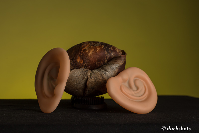 Gaugin Van Gogh's Ear-1